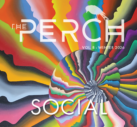 Peer Support Futures